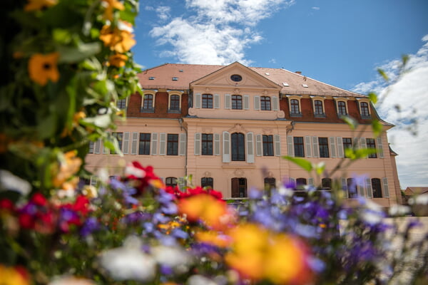 Fototour durch die Altstadt 