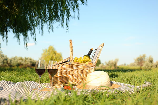 Weinpicknick 