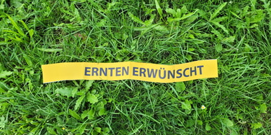 Ernten erwünscht