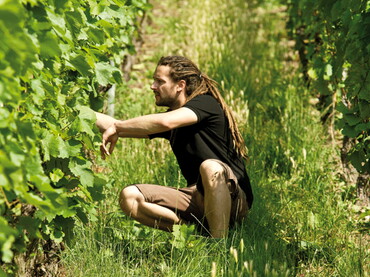 Wein