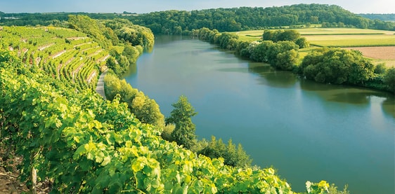 3B-Land, Wein