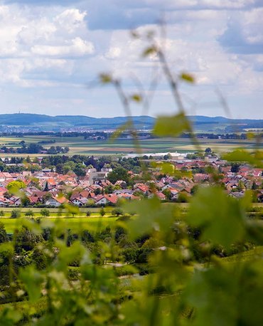 Blick vom Weinberg