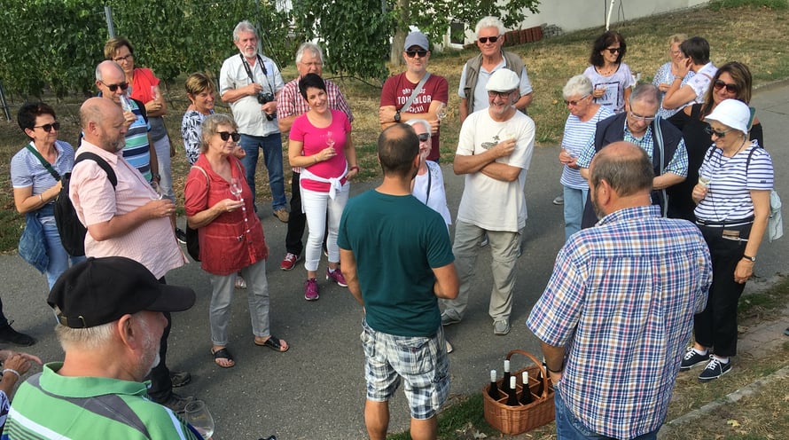 Willkommen im Weingut Mesel in Bad Dürkheim