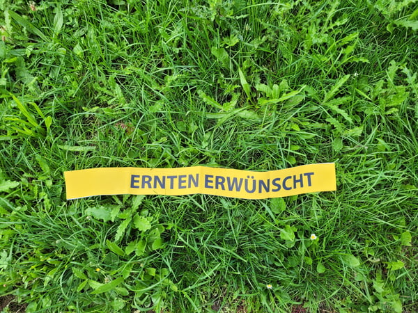 Ernten erwünscht