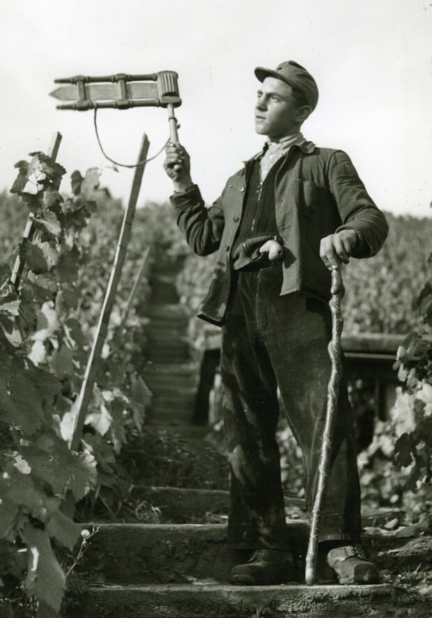 Der Wengertsch&uuml;tz musste die Weinberge vor tierischen und menschlichen Dieben sch&uuml;tzen. Fr&uuml;her &uuml;bernachteten sie im Wengertsch&uuml;tzenhaus. Das Foto zeigt Hans Wachter als Wengertsch&uuml;tz mit R&auml;tsche und Pistole.