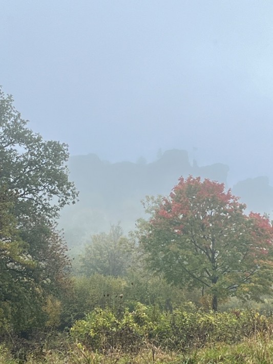 Herbst- und Wintermonate mit Begleitung durch Trauergruppe