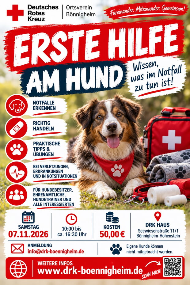 Erste Hilfe am Hund