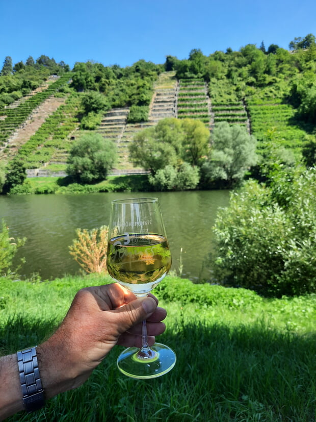 Neckarwiese Walheim
