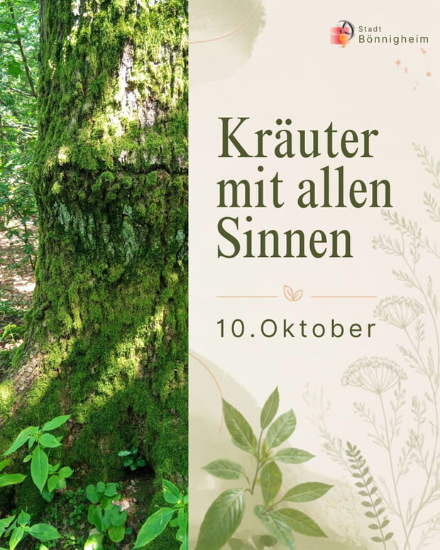 Kr&auml;uter mit allen Sinnen