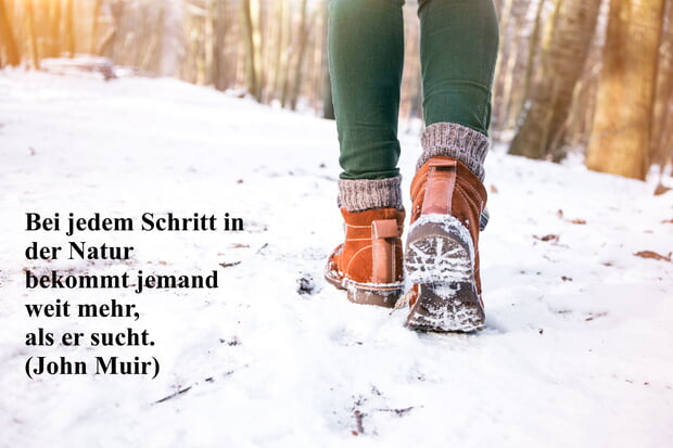 Weihnachtsgruß 2025